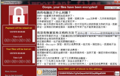 oops your files have been encryptedô?